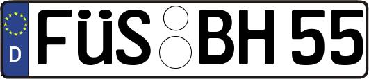 FÜS-BH55