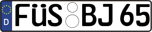 FÜS-BJ65