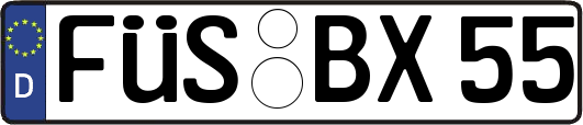 FÜS-BX55