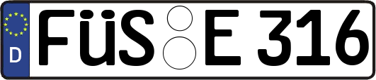 FÜS-E316