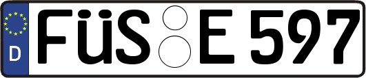 FÜS-E597
