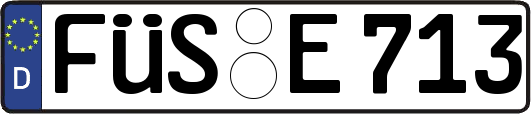 FÜS-E713