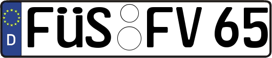 FÜS-FV65