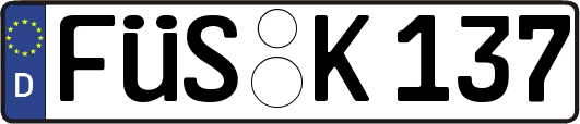 FÜS-K137