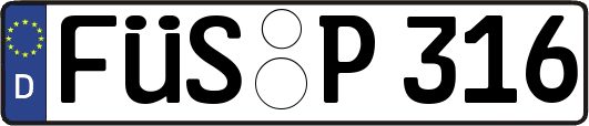 FÜS-P316