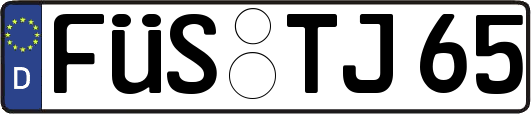 FÜS-TJ65