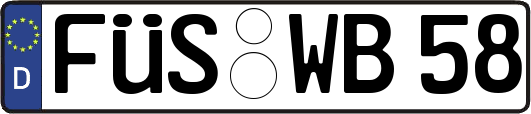 FÜS-WB58