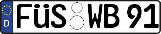 FÜS-WB91