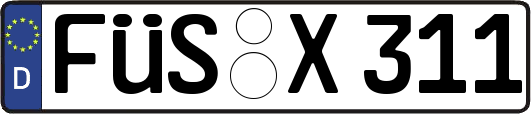 FÜS-X311