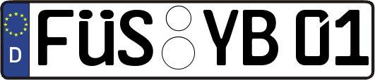 FÜS-YB01