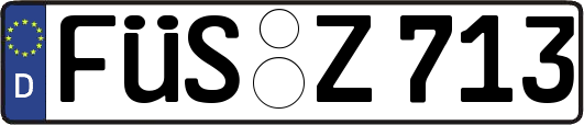 FÜS-Z713