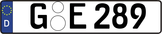 G-E289