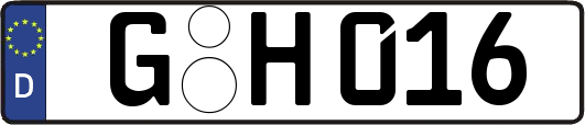 G-H016