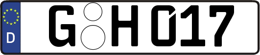G-H017