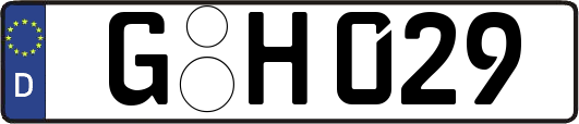 G-H029