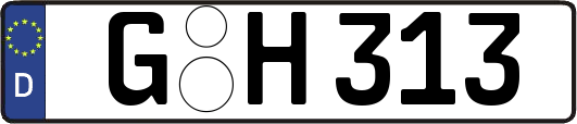 G-H313