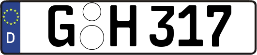 G-H317