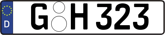 G-H323