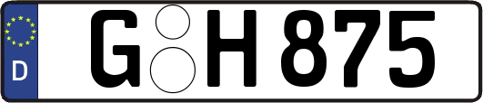G-H875