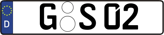 G-S02