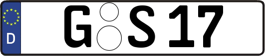 G-S17
