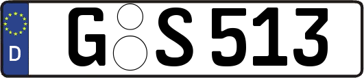 G-S513