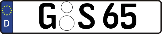 G-S65