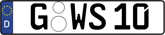 G-WS10