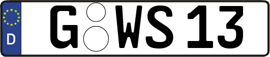 G-WS13