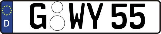 G-WY55