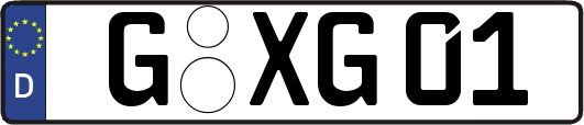 G-XG01