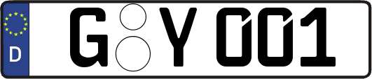 G-Y001