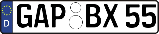 GAP-BX55