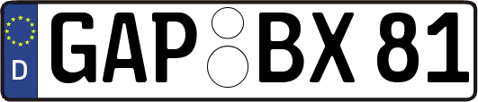 GAP-BX81