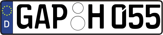 GAP-H055