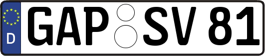GAP-SV81