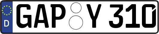 GAP-Y310