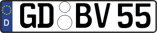 GD-BV55