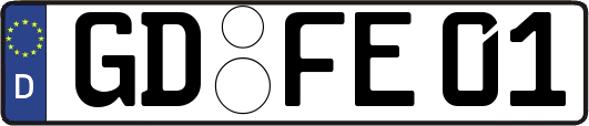 GD-FE01