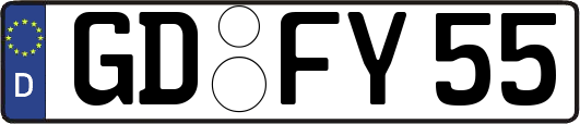 GD-FY55