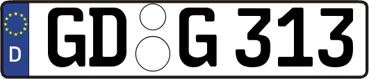 GD-G313