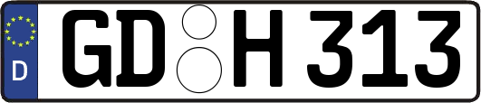 GD-H313