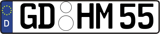 GD-HM55