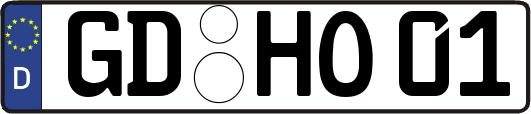 GD-HO01