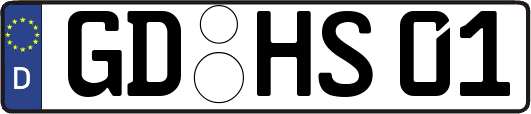 GD-HS01
