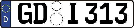 GD-I313