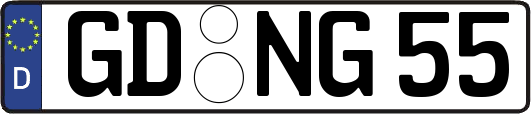 GD-NG55