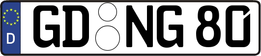GD-NG80