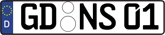 GD-NS01