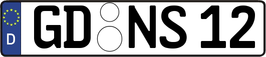 GD-NS12